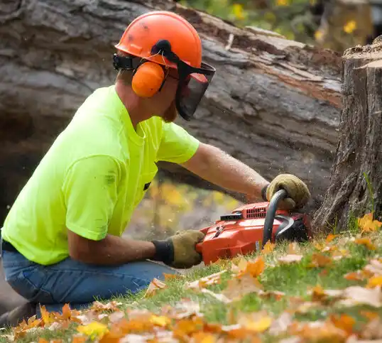 tree services Smithfield